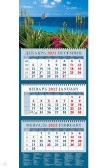 Zakazat.ru: Календарь квартальный на 2022 год Морские просторы (14245).