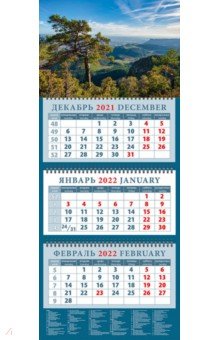 Zakazat.ru: Календарь квартальный на 2022 год Великолепный пейзаж с сосной (14251).