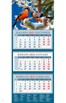 Zakazat.ru: Календарь квартальный на 2022 год Снегири (14255).
