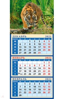 Zakazat.ru: Календарь квартальный на магните на 2022 год Год тигра. Настоящий хозяин джунглей (34209).