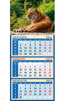 Zakazat.ru: Календарь квартальный на магните на 2022 год Год тигра. Сила и уверенность (34211).