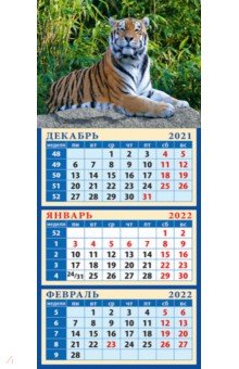 Zakazat.ru: Календарь квартальный на магните на 2022 год Год тигра. Симпатичный хозяин джунглей (34213).