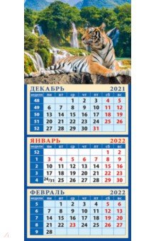 Zakazat.ru: Календарь квартальный на магните на 2022 год Год тигра. Великий тигр у водопада (34215).