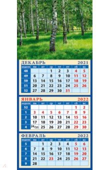 Zakazat.ru: Календарь квартальный на магните на 2022 год Березовая роща (34219).