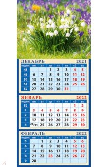 Zakazat.ru: Календарь квартальный на магните на 2022 год Ландыши (34223).