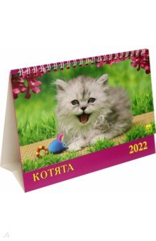 Zakazat.ru: Календарь настольный на 2022 год Котята (19209).
