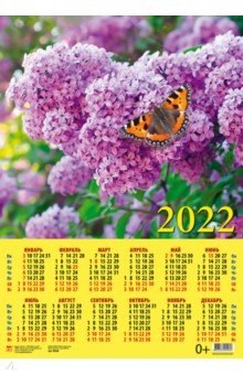    2022       (90208)