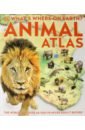Harvey Derek What's Where on Earth? Animal Atlas harvey derek animal antics