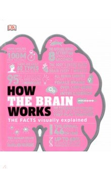 

How the Brain Works