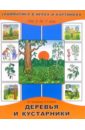 Деревья и кустарники (Для детей от 2 до 7 лет)
