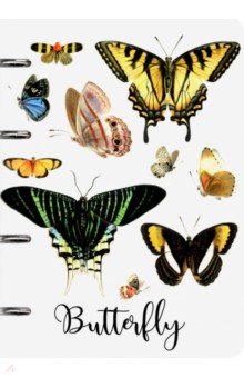 Тетрадь на кольцах (80 листов, А5, клетка), Butterfly (10826-EAC).