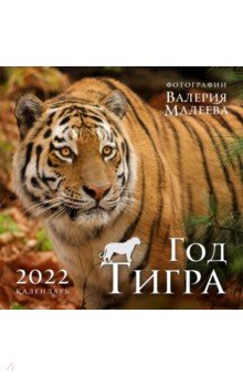 Год тигра. Фотографии Валерия Малеева. Календарь настенный на 2022 год.