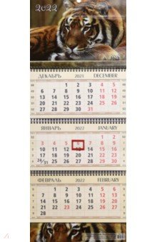 Zakazat.ru: Календарь квартальный Рыжий тигр, на 2022 год (КВК-1).