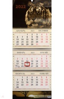 Zakazat.ru: Календарь квартальный Сепия, на 2022 год (КВК-2).