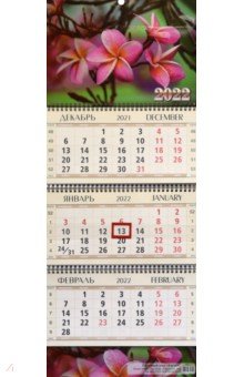 Zakazat.ru: Календарь квартальный Тропический цветок, на 2022 год (КВК-3).