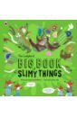 Russell Williams Imogen The Ladybird Big Book of Slimy Things