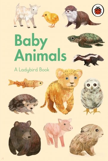 Ladybird Book. Baby Animals