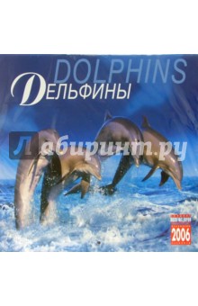 Календарь: Дельфины 2006 год.