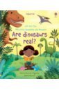 Daynes Katie Very First Questions and Answers Are Dinosaurs Real?