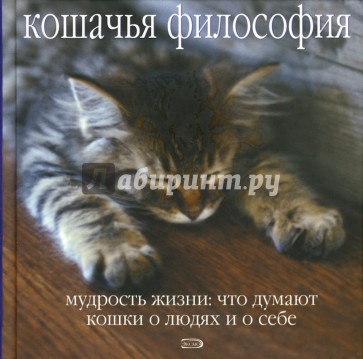 Кошачья философия. Мудрость жизни: что думают кошки о людях и о себе