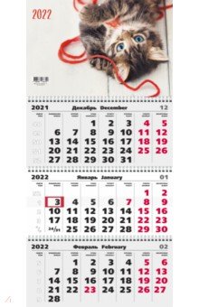 Zakazat.ru: Календарь на 2022 год Домашние любимцы 4, трехблочный.
