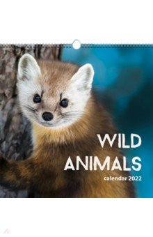 

Календарь на 2022 год Дикие животные 1, квадратный, средний