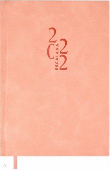 Ежедневник на 2022 год, Шеврет, А5, 80 листов, розовый.