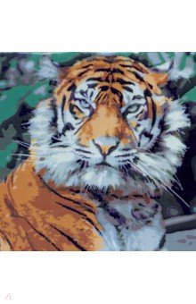Холст с красками для рисования по номерам Грозный тигр.