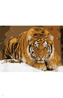 Холст с красками для рисования по номерам Амурский тигр