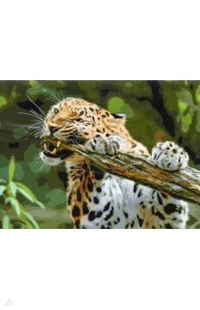 Холст с красками для рисования по номерам. Леопард в джунглях