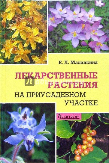 Лекарственные растения на приусадебном участке: Учебное пособие