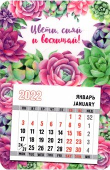 

Календарь-магнит 2022 с отрывным календарным блоком Цвети, сияй и восхищай, суккуленты