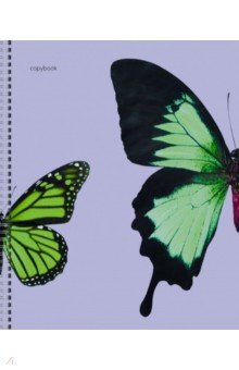 Тетрадь Butterflies, 48 листов, клетка, А5, в ассортименте