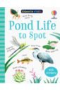 Nolan Kate Pond Life to Spot