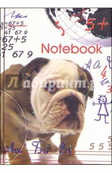 Notebook 3723 (бульдог).