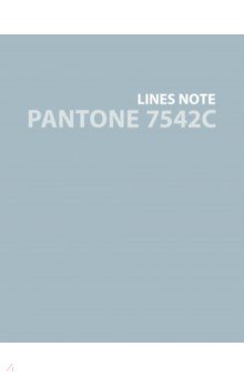 Тетрадь Pantone Color '21 1, А5+, 96 листов, линия