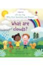 Обложка What are clouds?