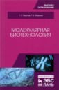 Молекулярная биотехнология. Учебник для вузов