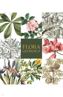 Flora Georgica.   