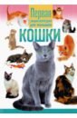 Кошки. Первая энциклопедия для малышей первая энциклопедия для малышей многоразовый альбом