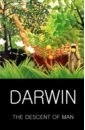 Darwin Charles The Descent of Man darwin charles autobiographies