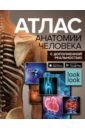 Атлас анатомии человека с дополненной реальностью - Спектор Анна Артуровна