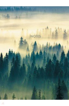 Книга для записей Туманный лес, 100 листов, клетка, А4 Listoff