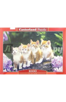 Puzzle-1000. Четыре котенка (С-101344).