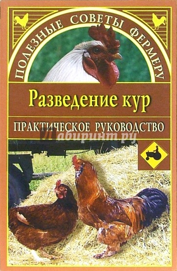 Разведение кур