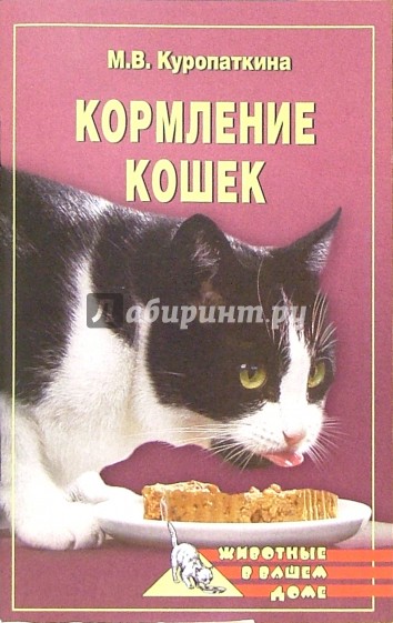 Кормление кошек