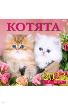 

Календарь Год кота. Котята, на 2023 год