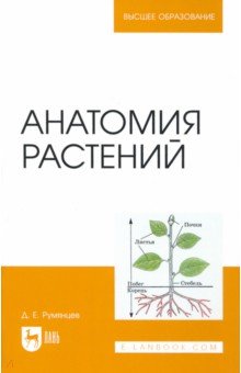 Румянцев Денис Евгеньевич - Анатомия растений. Учебное пособие