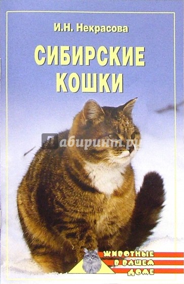 Сибирские кошки