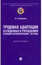 Абакшина Наталья Анатольевна Трудовая адаптация осужденных в учреждениях уголовно-исполнительной системы. Монография доклад о деятельности уполномоченного по правам человека в рф за 2017 г